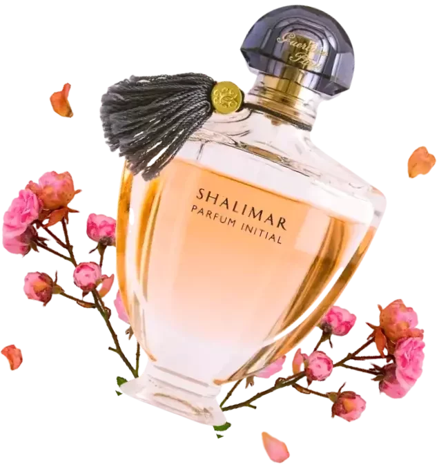 Rose prefume 