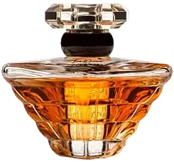 men fragrances