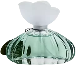 Kids fragrances