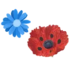 Flower Fragrance